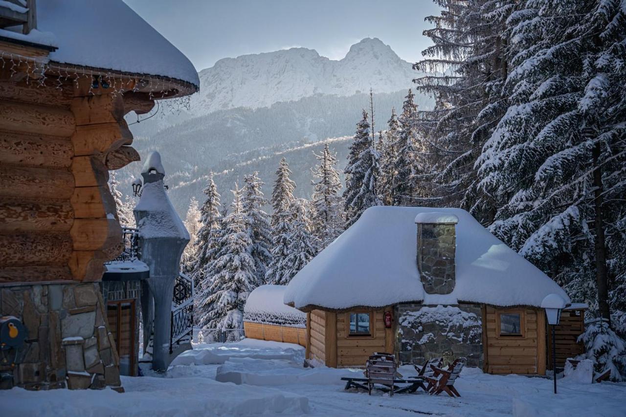 Rich Witch Villa&Spa Kościelisko Dış mekan fotoğraf